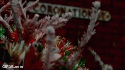 Close Up Christmas Wreath With Sign GIF