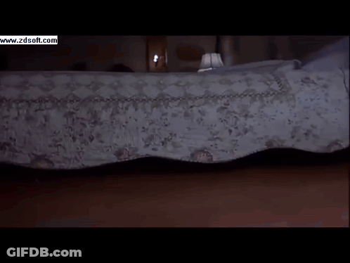 Close Up Clown With Mouth Open Zdsoft GIF