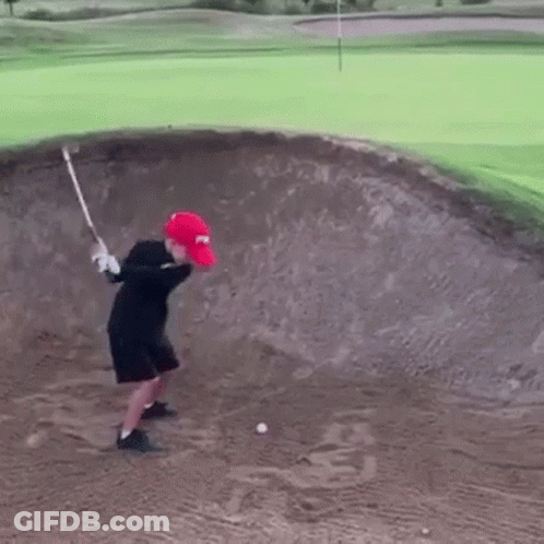 Close Up Cricket With Chirp GIF