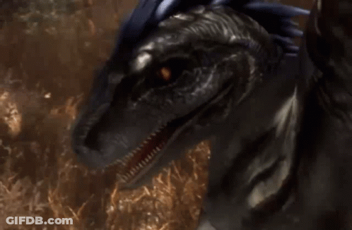 Close Up Dinosaur Face And Mouth GIF