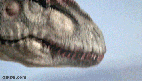 Close Up Dinosaur Face With Mouth Open GIF