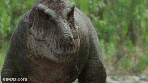 Close Up Dinosaur Looking At Camera With Trees GIF