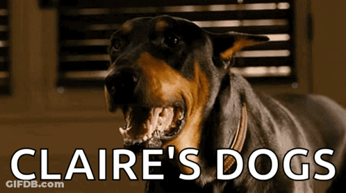 Close Up Dog Claire's Dogs GIF