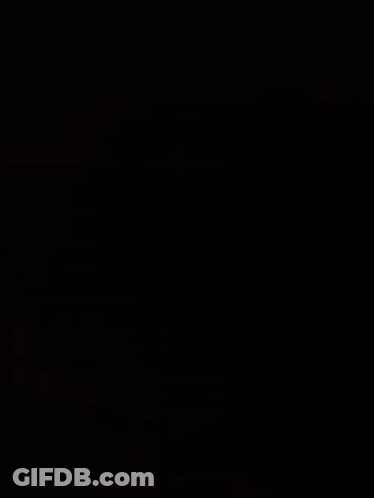 Close Up Dog Face GIF