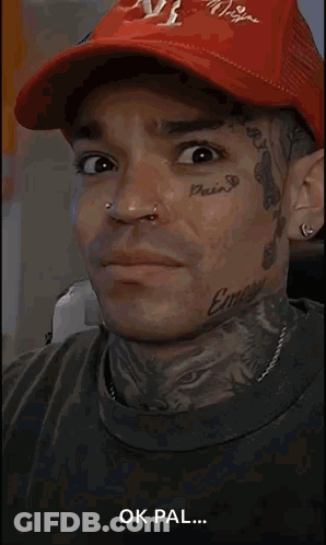 Close Up Dog Face Saying Ok Pal GIF