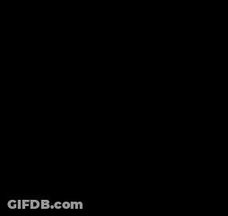 Close Up Dog Looking At Camera GIF