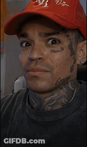 Close Up Dog Looking At Camera GIF