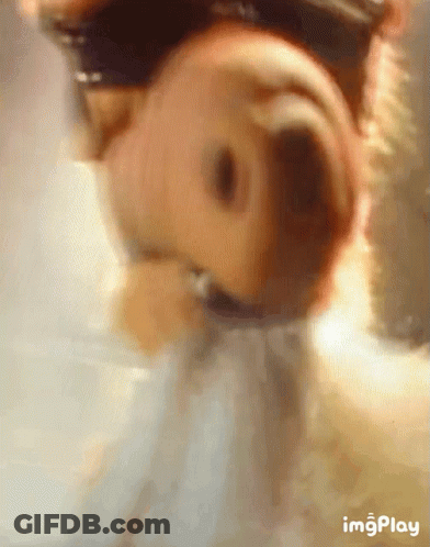Close Up Dog Nose Imgplay GIF