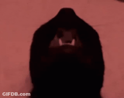 Close-Up Dog With Mouth Open GIF