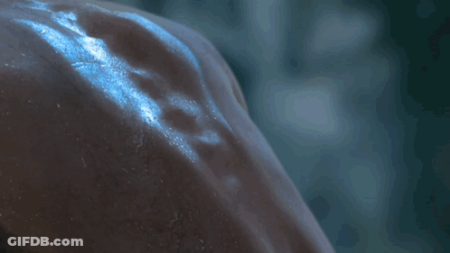 Close-Up Ear With Waterfall Background GIF
