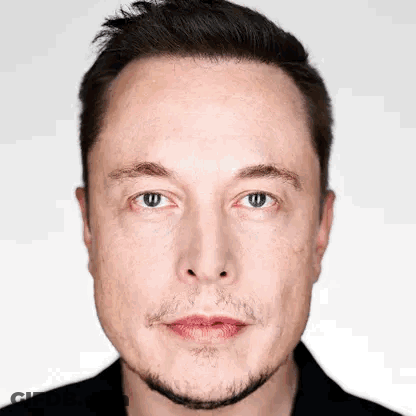 Close Up Elon Musk Beard Black Shirt GIF