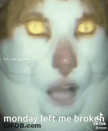 Close Up Face Saying Monday Left Me Broken GIF