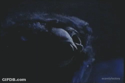 Close Up Face With Eyes Closed In Dark Room GIF