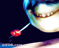 Close Up Face With Red Lollipop GIF