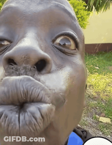 Close Up Face With Speech Bubble GIF