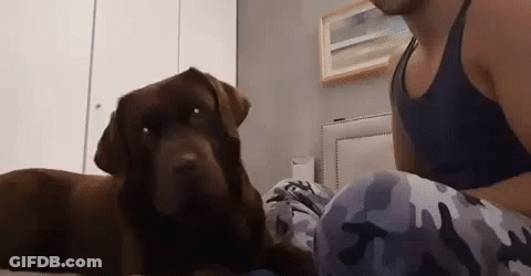 Close Up Face With Sun Through Window GIF