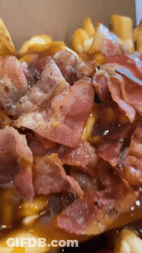 Close Up French Fries With Bacon GIF