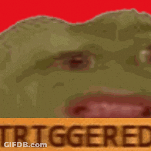 Close Up Frog Face With Triggered GIF