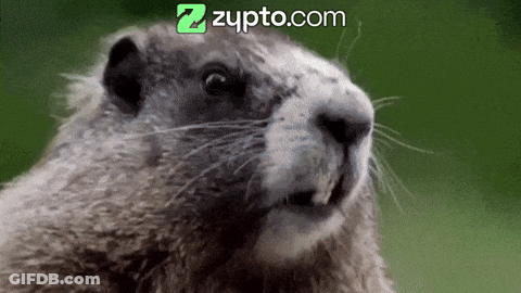 Close Up Ground Squirrel With Zupto.com Logo GIF