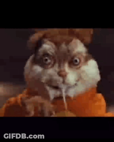 Close Up Hamster With Squirrel Face Coming Out GIF