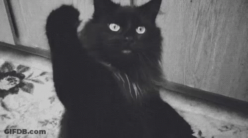 Close Up Hand Giving Thumbs Up GIF
