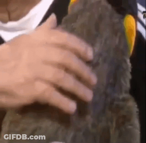 Close Up Hand Holding Object GIF
