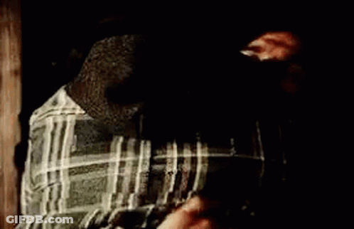 Close Up Horse Face In Dark Room GIF