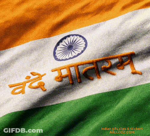 Close Up Indian Flag Indian Gifs Clips & Stickers GIF