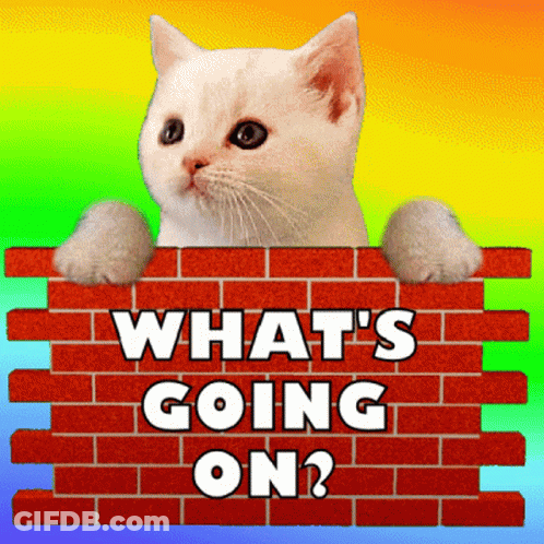 Close Up Man Face Saying What's Going On GIF