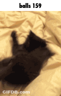 Close Up Man's Face Luma Logo GIF