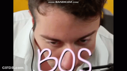Close Up Man With Bos On Face GIF