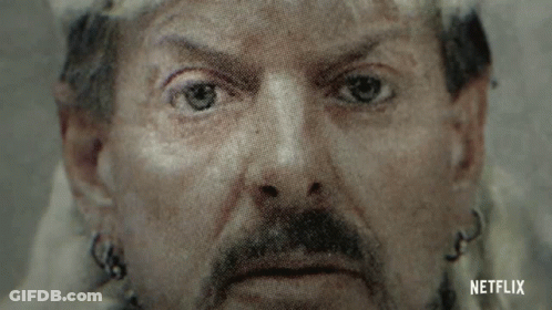Close Up Man With Mustache GIF