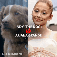 Close Up Man You've Been A Good Boy GIF