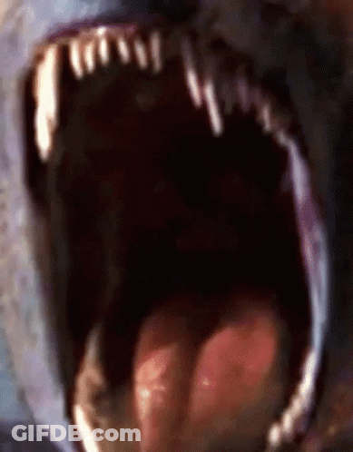 Close Up Mouth With Tongue Out GIF