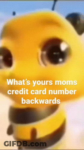 Close Up Of A Bee Saying What's Your Mom's Credit Card Number Backwards GIF