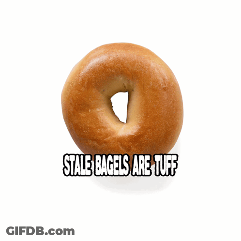 Close Up Of Bagel Saying Stale Bagels Are Tuff GIF