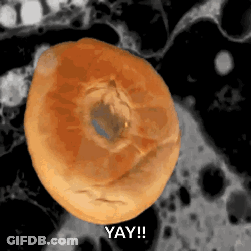 Close Up Of Bagel Saying Yay GIF
