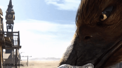 Close Up Of Bird Face In Front Of Clock Tower Building GIF