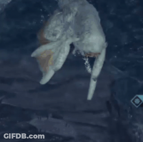 Close Up Of Bird Flying GIF