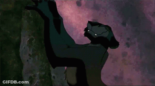 Close Up Of Bird Foot With Long Claws GIF