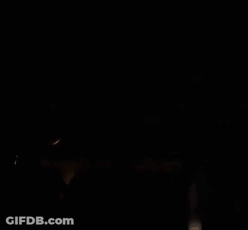 Close Up Of Black And White Dog With Red Collar GIF