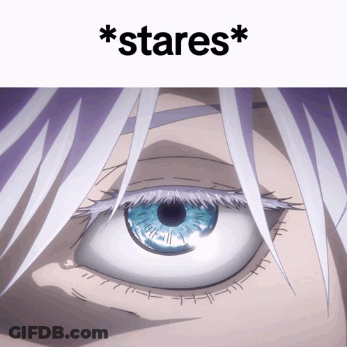 Close Up Of Blue Eye Stares GIF