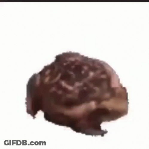 Close Up Of Brown Object GIF