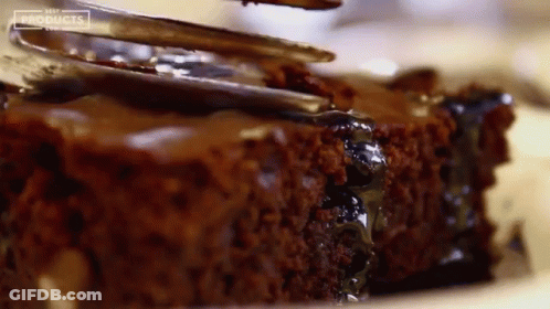 Close Up Of Brownie Saying Products GIF