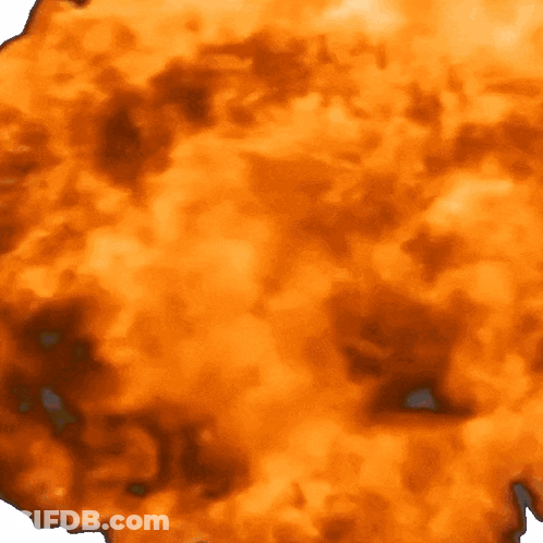 Close Up Of Burnt Paper GIF