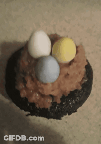 Close Up Of Cake With Eggs GIF