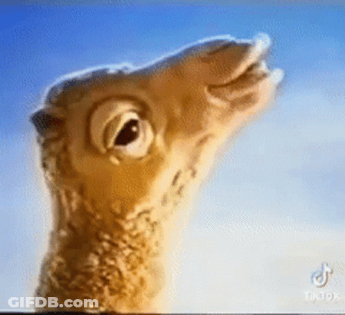 Close Up Of Camel Head Against Blue Sky GIF