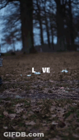 Close Up Of Car With Love Written On Side GIF