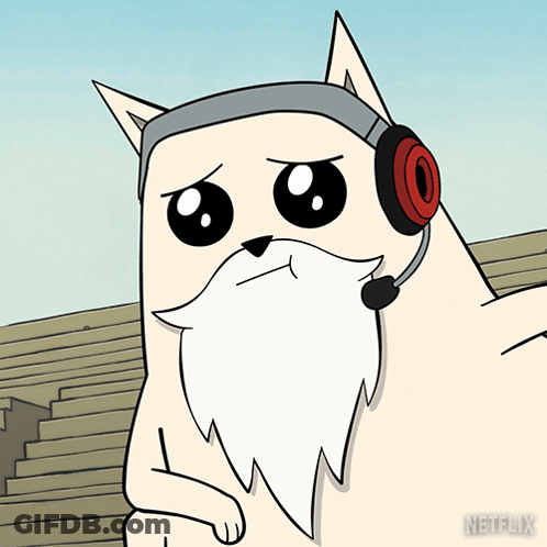 Close Up Of Cat Face GIF