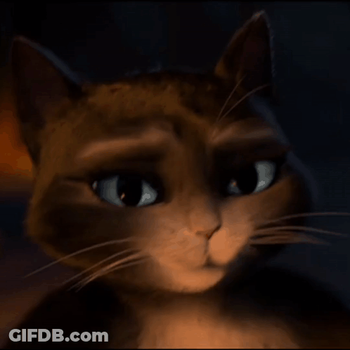 Close Up Of Cat Face In Dark GIF